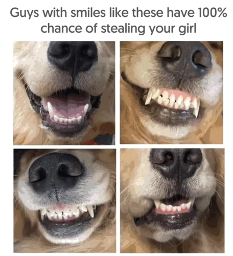 guys-with-smiles-like-these-have-100-chance-stealing-girl