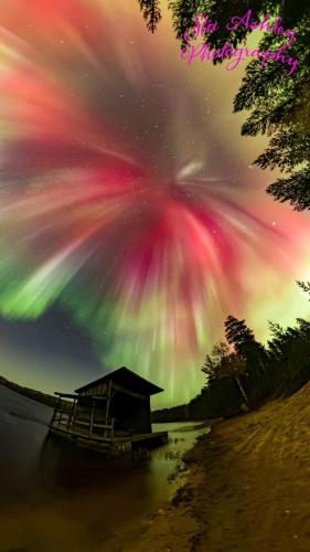 d029c16b-77ba-42d8-9413-1c4a1dcdd627