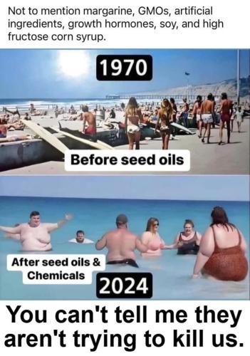 America Before and After Seed Oils