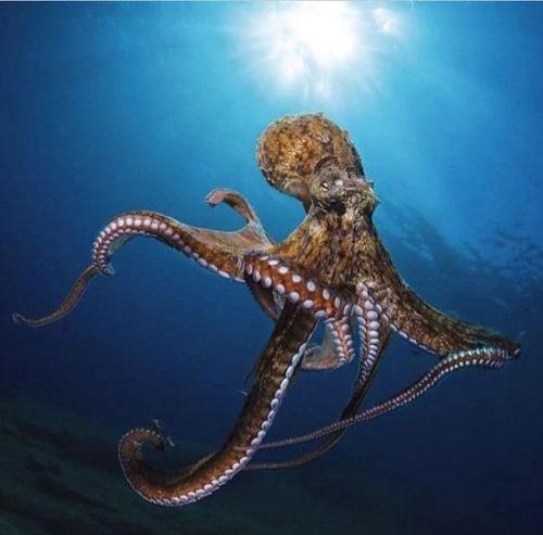 RDT_20241028_2134581513634061846029437