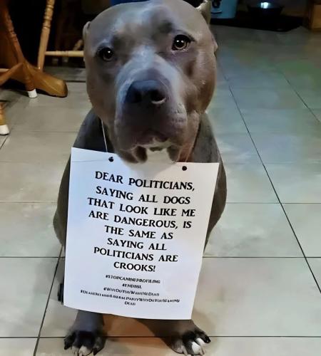 4f640143183157fdba0261a0531febee