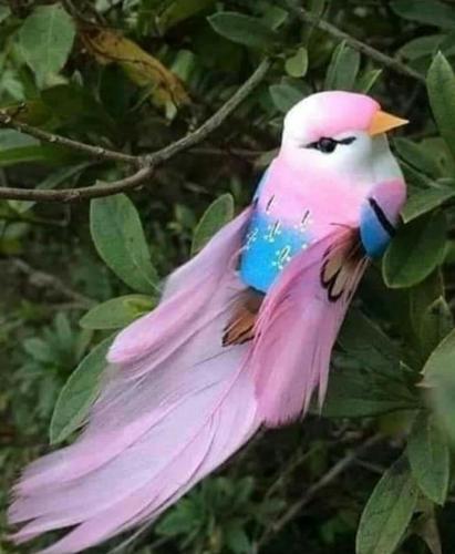 ,                          ,