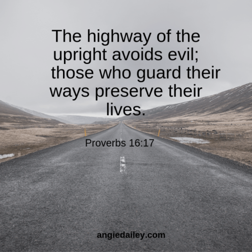 Proverbs-16_17-1302678950