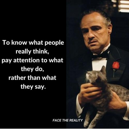 Screenshot_2024-09-22-08-42-41-97_1c337646f29875672b5a61192b9010f9