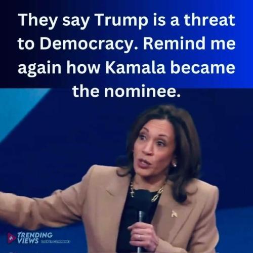 Remind me again how Harris became the nominee.960px