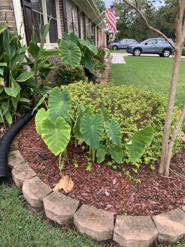 E364E9DC-D6A8-4873-99A9-42930710CB59