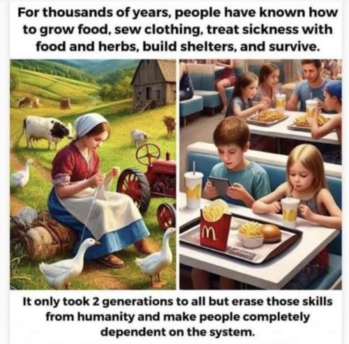 Screenshot_20241019_155638_Facebook