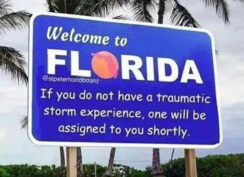 image_F423D573-2252-4091-A3AA-365425FEDEB1