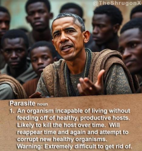 e4yv4rq43kl64qvmffqp_800[1]