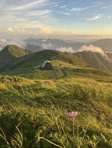 RDT_20241014_1108126210051123047542767