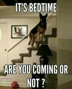 de27767b4fe4f6361c2bb2c73c5fda02