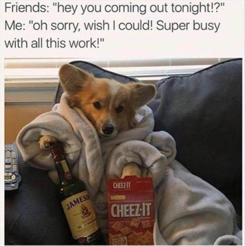 0cfc008584c04859ac16e360bd9e2c06