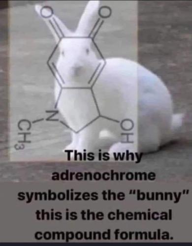 FB_IMG_1729196740479