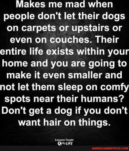 628e4438d0b87f2d2d38942aa30a3d899a1c395deaa225dfc6d7ac6ce9739836_1