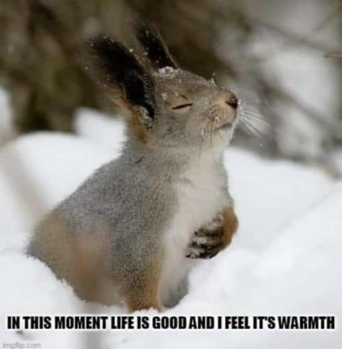 photo_2024-10-30_15-21-03