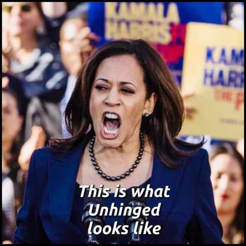 image_2024-10-24_062910292