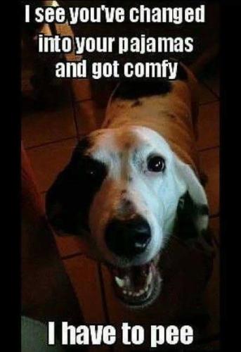 228FDC76-F1E1-4A4E-B1D7-CDC3D5948FDC