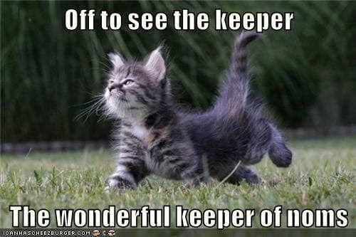 27cf3026a89c67bf89b16f4339e13511