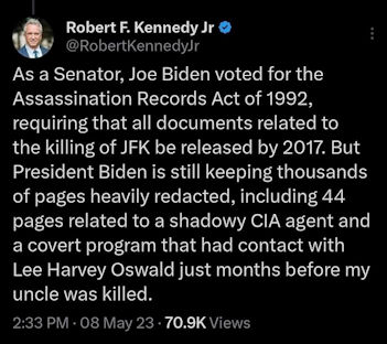 robert f kennedyjr13