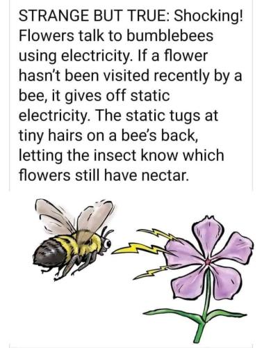 1DC40067-B7BD-4251-9589-5DB55EE3557B