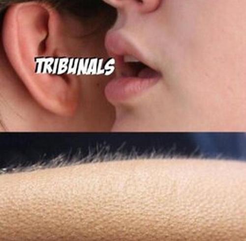 433e80f1-6800-406a-8c07-a8f1bf82a6b0