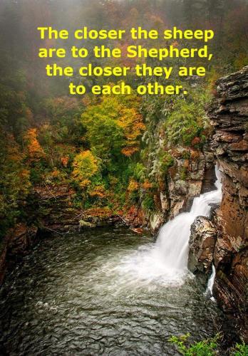 92dd7e27-654b-4510-9f70-58b9179277ba