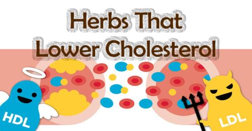 Herbs That Lower Cholesterol 1