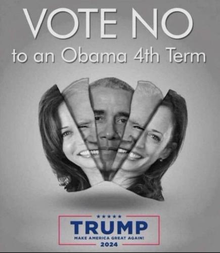 xephula_1a29ce6a25f7f533d2ba54ce9f05f3e6