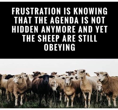 Screenshot_20241002_063815_Facebook