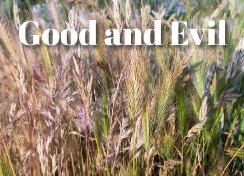 a27d3446-9baa-4267-8b54-b205c761a781