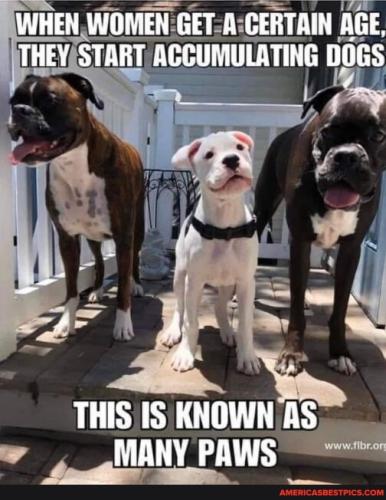 f06304bdc95f09502dc50457710c14545825a28ee179e9dec80beeddee5afee5_1