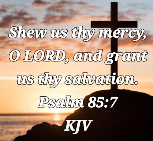 2c6fa4db-bc42-44f2-9612-de349b14a492