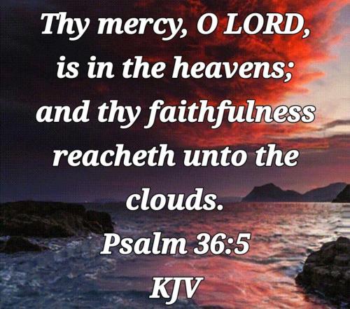 c7807cb4-affb-4111-ad75-aaf4c7d3cb5d