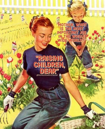 photo_2024-10-26_07-56-38