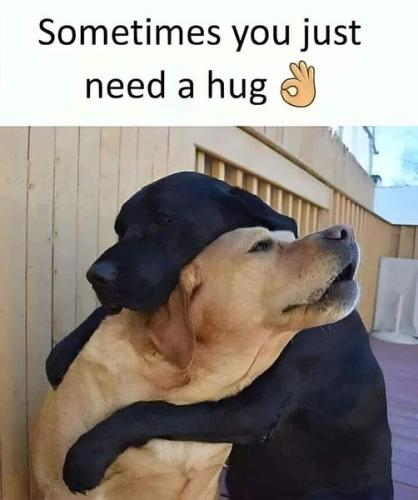 0000000000000000000000000000000000000000000000000000000000000000000000000000000000000000000000000000000000000000000000000000000000000000000000000000000000000000000000000000000000000000000000000000000000000ngq