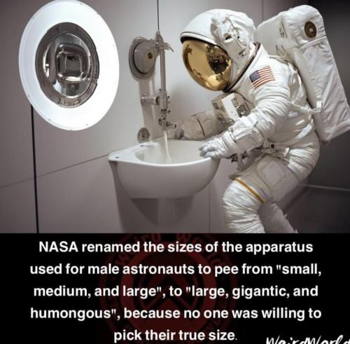 20241026_203811