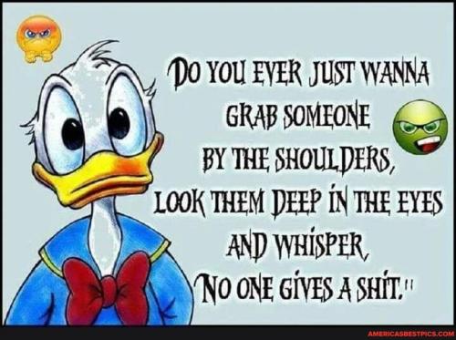 a033ab977977f562cc9aae8a375d7cbfd6a53164613879b320ab42f50c292fae_1