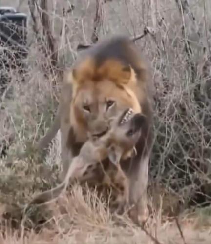 FB_IMG_1728177355993