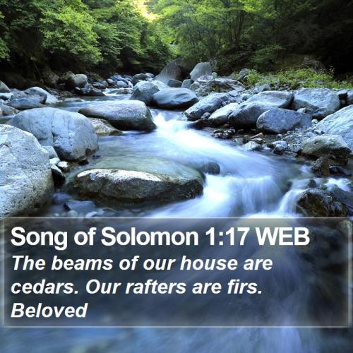 Song of Solomon 1_17