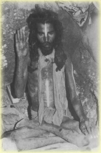 ,                              ,    ,