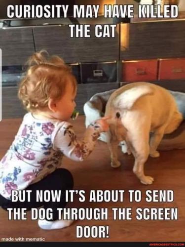 3b2a79777cbb4840548f2b741acd3ce0bad992e90f95ec99f6b93a5bb56e9794_1