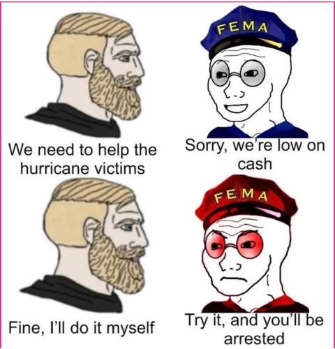 fema1