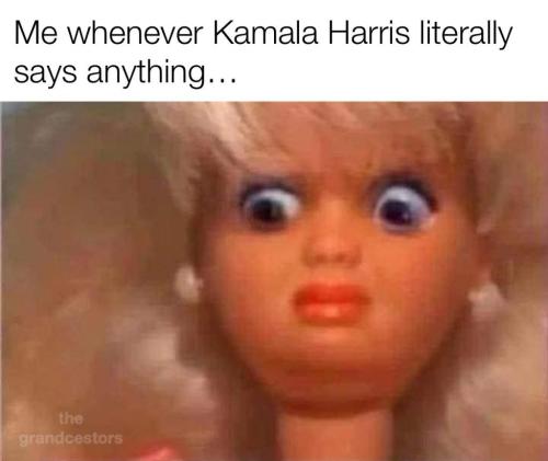 photo_2024-10-05_22-06-46