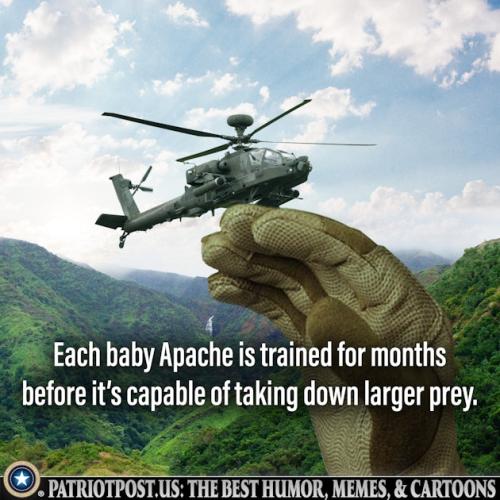 01JAETRNPV7DG4AFXCVCA346M4