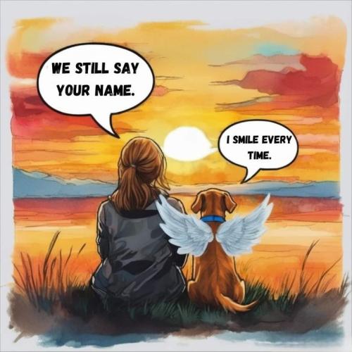 08809b578c6913bcb55bfb5f163ebed0