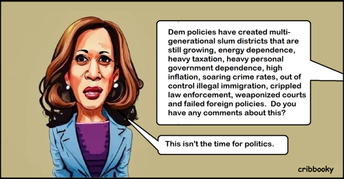 not_do_politics_dodge_kamala