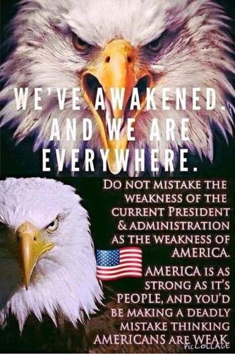 bb7422b5eaff5d310554a875e42907b6