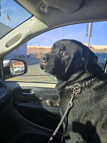 bdcf3a83-07ec-4f67-b692-96c63b56b285