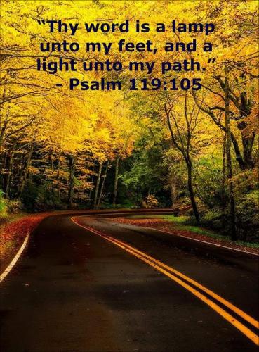 b8af8eae-d3b1-4510-8213-b1ed3de6f9dc