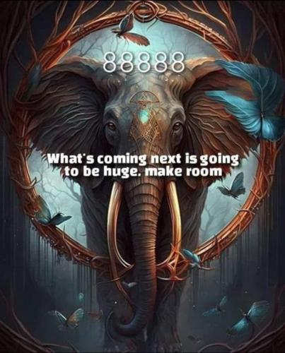 426751522_364127283265549_3865852617270038872_n